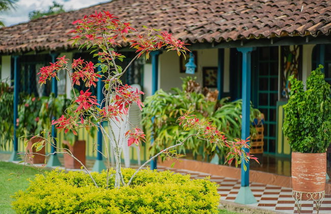 Hacienda Araucaria Habitacion 10 - Photo 10