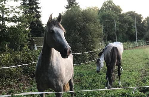 Gîte du Pré Rond - Photo 12