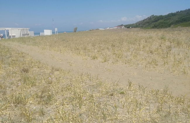 Apartment With Garden Close To The Beach - Foto 20