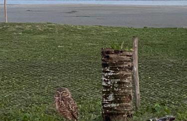 Casa de praia Suarão Beach - Foto 26