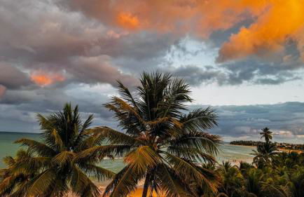 Flat Studio beira mar com piscina privativa - Praia dos CARNEIROS TAMANDARÉ - Photo 72