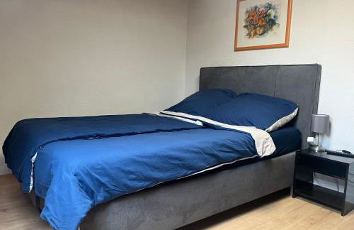 Beishan Appartements Nürnberg in Zentrum Dachgeschoss - Foto 7