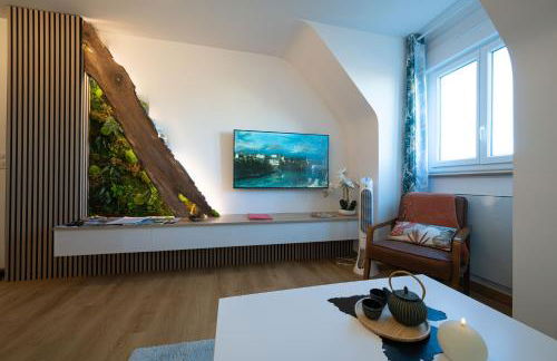 Appartement calme et raffiné en hypercentre dans une résidence historique parking - Foto 25