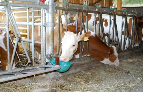 Mayer Burghöfe - Foto 11