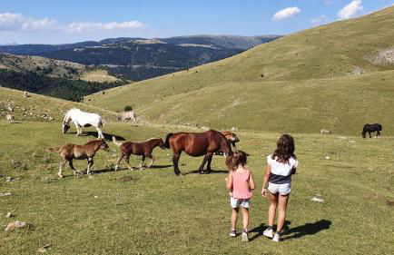 Apartament el mirador de la Cerdanya - Foto 67