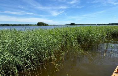 Siemiany Michałówka - Foto 36