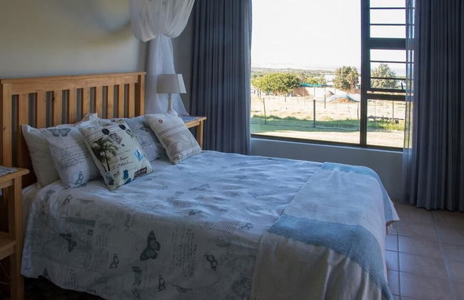 Groeneweide - Foto 10