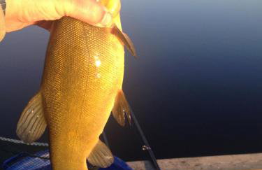 Dom wakacyjny Danielsja - Foto 43