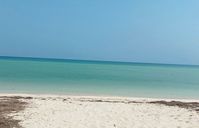Entire House on the Seashore in Chicxulub Puerto, Yuc, Riviera Yucateca Mex - Foto 32