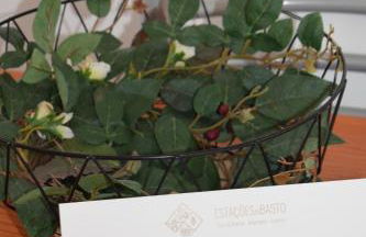 Estação Ferroviária de Celorico de Basto - Foto 26