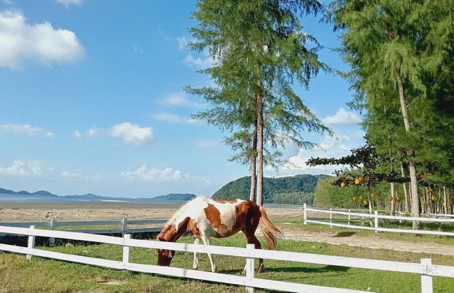 7 Heaven camping Lanta - Foto 2