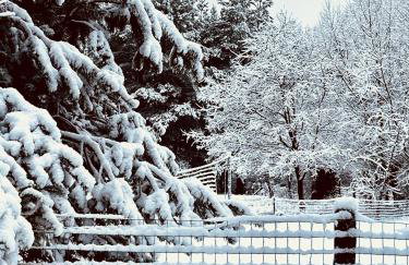 Domek z bala Mazury - Foto 23