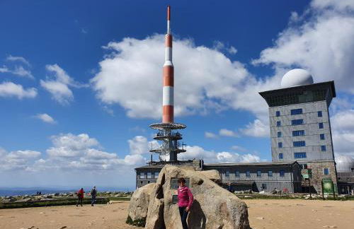 ****FH Blauvogel 60 Harz - Foto 55