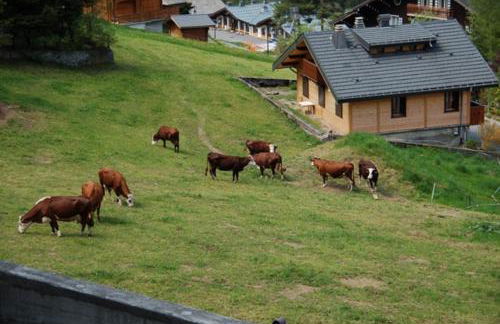 Le Ciel Bleu - Foto 15