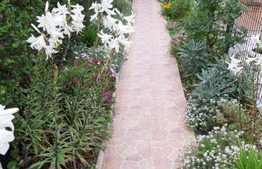 Iris Sabunike - Photo 51