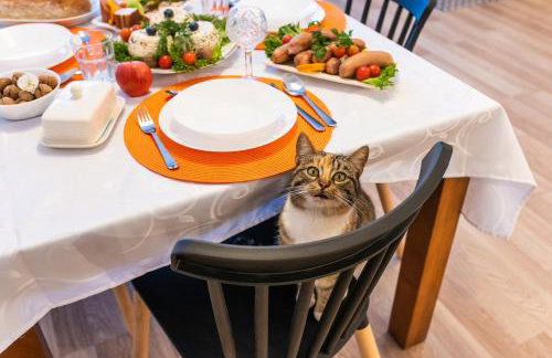 Agroturystyka Świętego Józefa - Foto 7