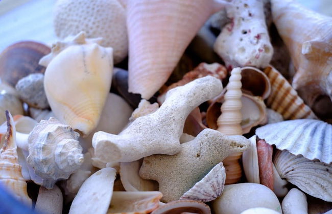 Host Stay Hova Rest - Foto 19