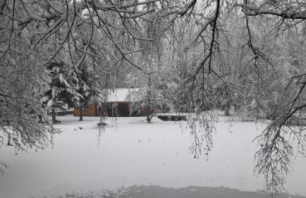 Insolite Chalet de pêche Sérénité - Bien Etre - Foto 17