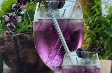 Urlaub im Garten Gottes - Foto 5