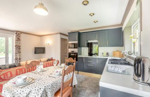 Kingfisher - Uk41034 - Foto 6