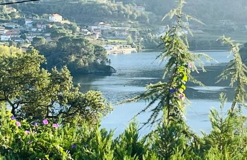 Emiliadourohouse - Foto 25