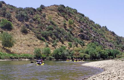 Horta da Quinta - Foto 72