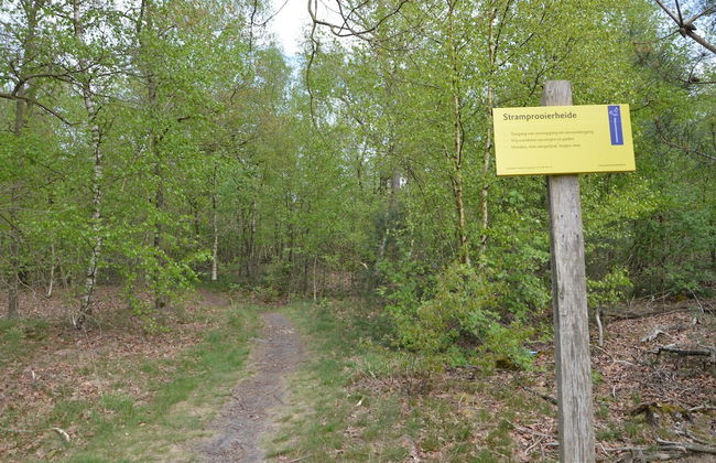 Inviting Holiday Home in Stramproy With Terrace - Photo 42