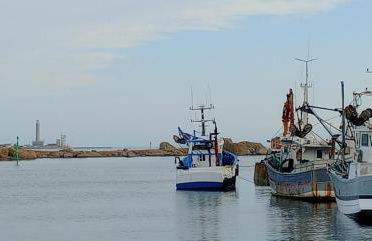 Trouz Ar Mor - Photo 18