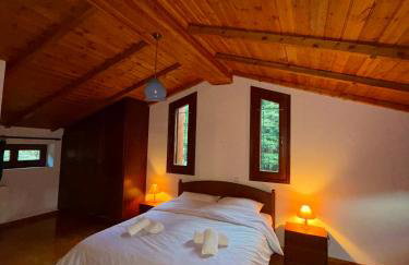 Anemoria Chalets-Castalia Chalet - Foto 19