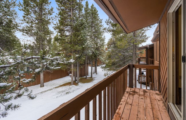 Homestead 1 - Photo 23