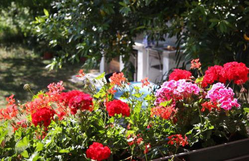 Apartman Rino - Foto 22