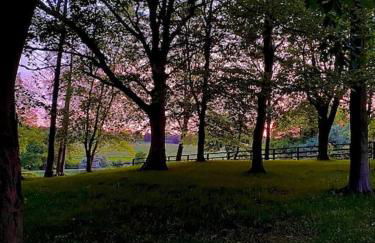 Gorstage Meadows Luxury 2 Bedroom Lodge in Rural Cheshire - Photo 32