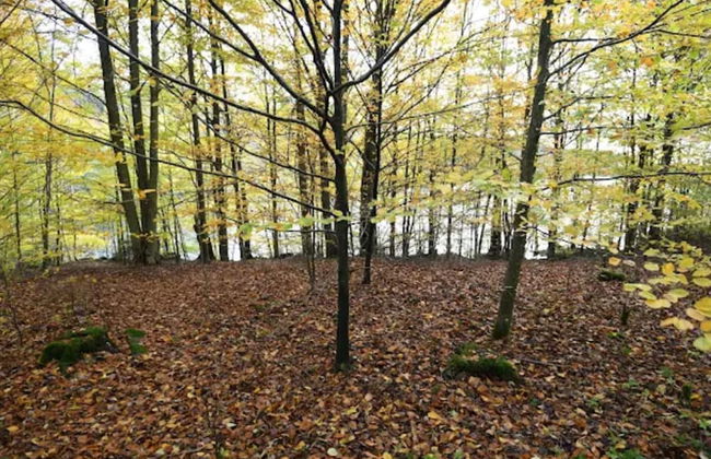 4 Person Holiday Home in Boras - Photo 11