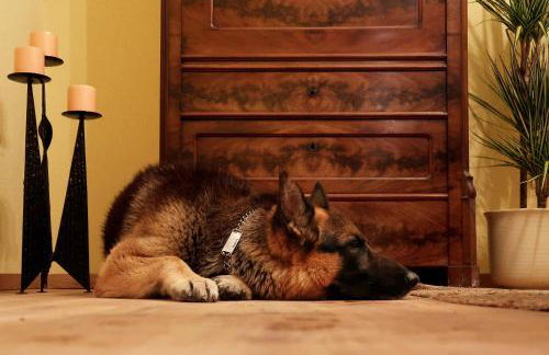 Ankommen und wohlfühlen! 104 qm in Altstadt-Nähe - Foto 18