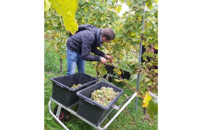 Apartment in Oberkirch - Foto 14