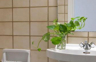 Apartment near the beach and Port Marina of Premia - Foto 20