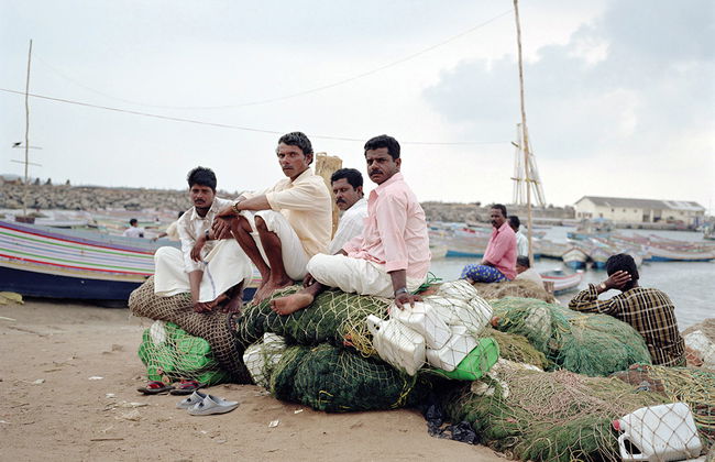Aldeia Tradicional e Centro de Escultura de Elefantes de Madeira - Foto 3