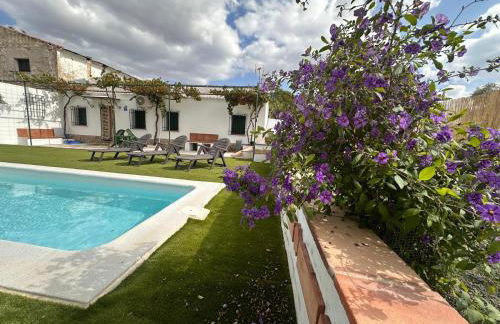 El Cortijo - Foto 24