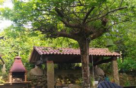 Casa Uma Turismo Rural - Photo 33