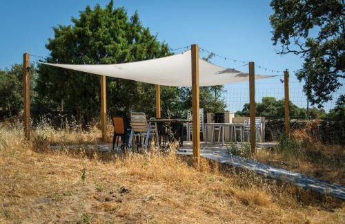 Hamlet's Friends - Foto 111