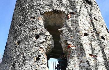 Panek, Haus - Foto 38