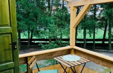 Igły i szyszki - Foto 9