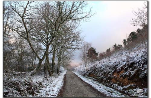 Casa Turismo Rural O FILANDÓN - Foto 37