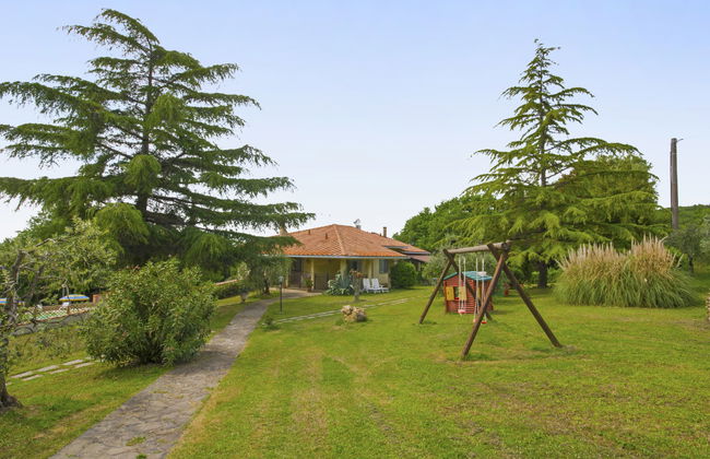 La Salamandra - Foto 2