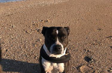 Retour de plage - Foto 38