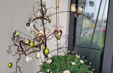 Luxury Appartement Marz, Europa Park-Rulantica - Foto 46