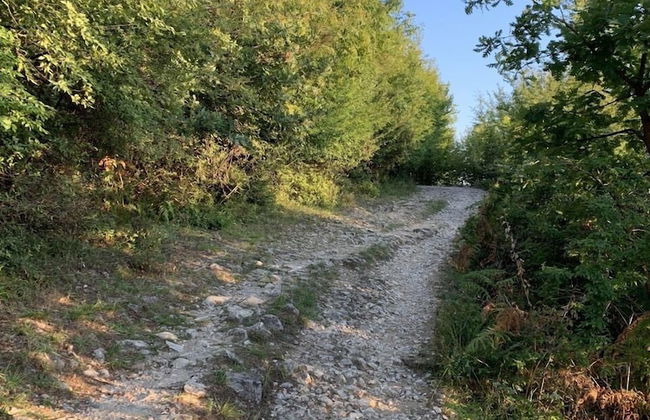 Florenc's Apartment - Foto 42