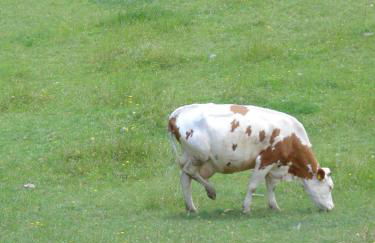 Agriturismo Le Prata - Foto 29