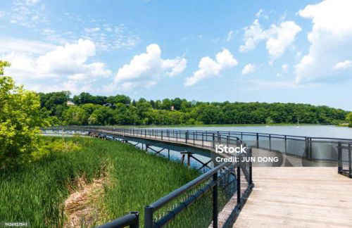 Private Attic room in shared home Near U of R - Photo 17