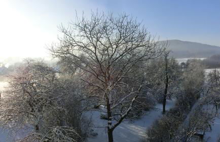 Ferien-Handwerker-Messewohnung 20 Minuten bis Messezentrum - Foto 20